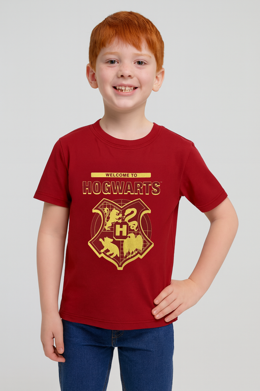Polera Harry Potter Burdeo