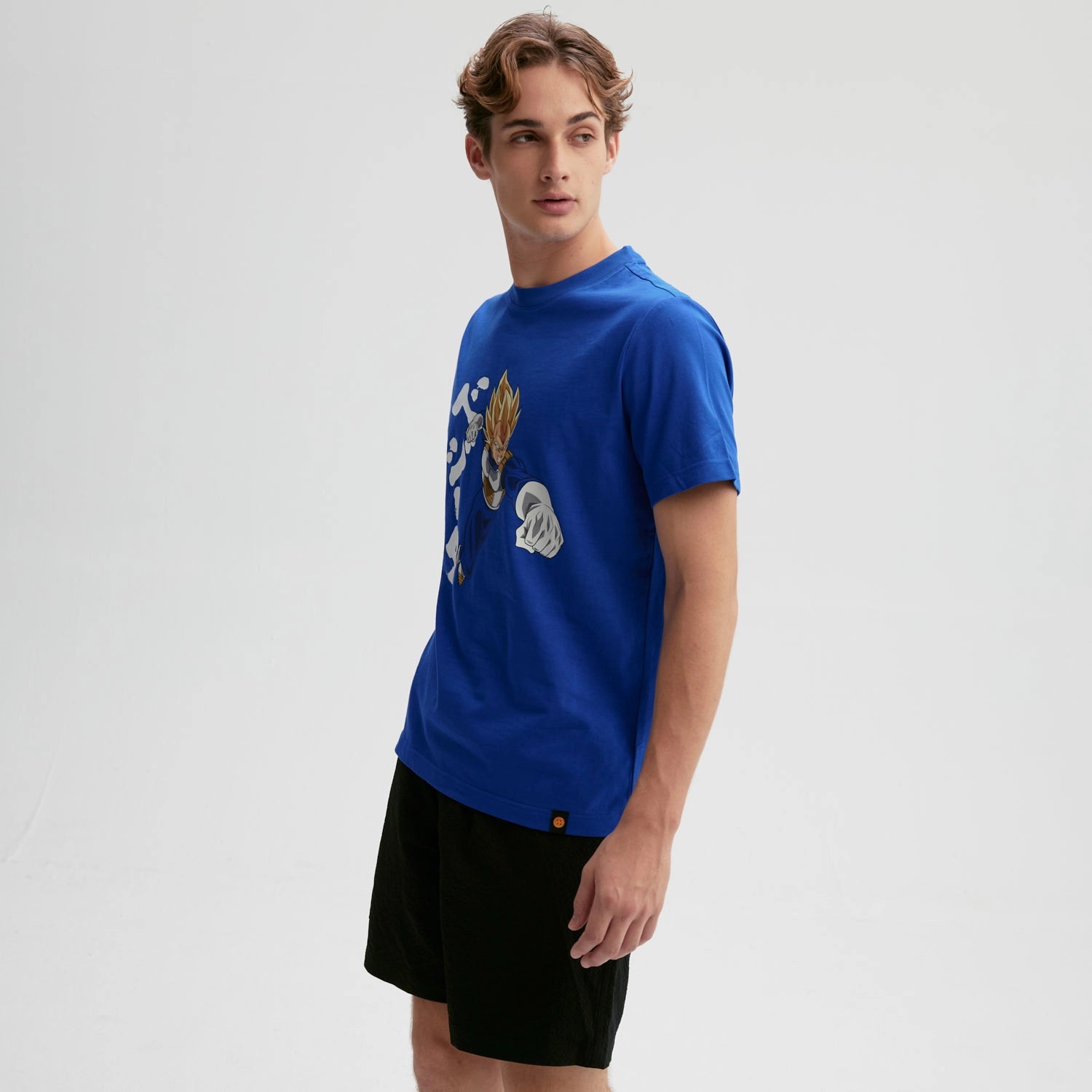 Polera Dragon Ball Vegeta Azul