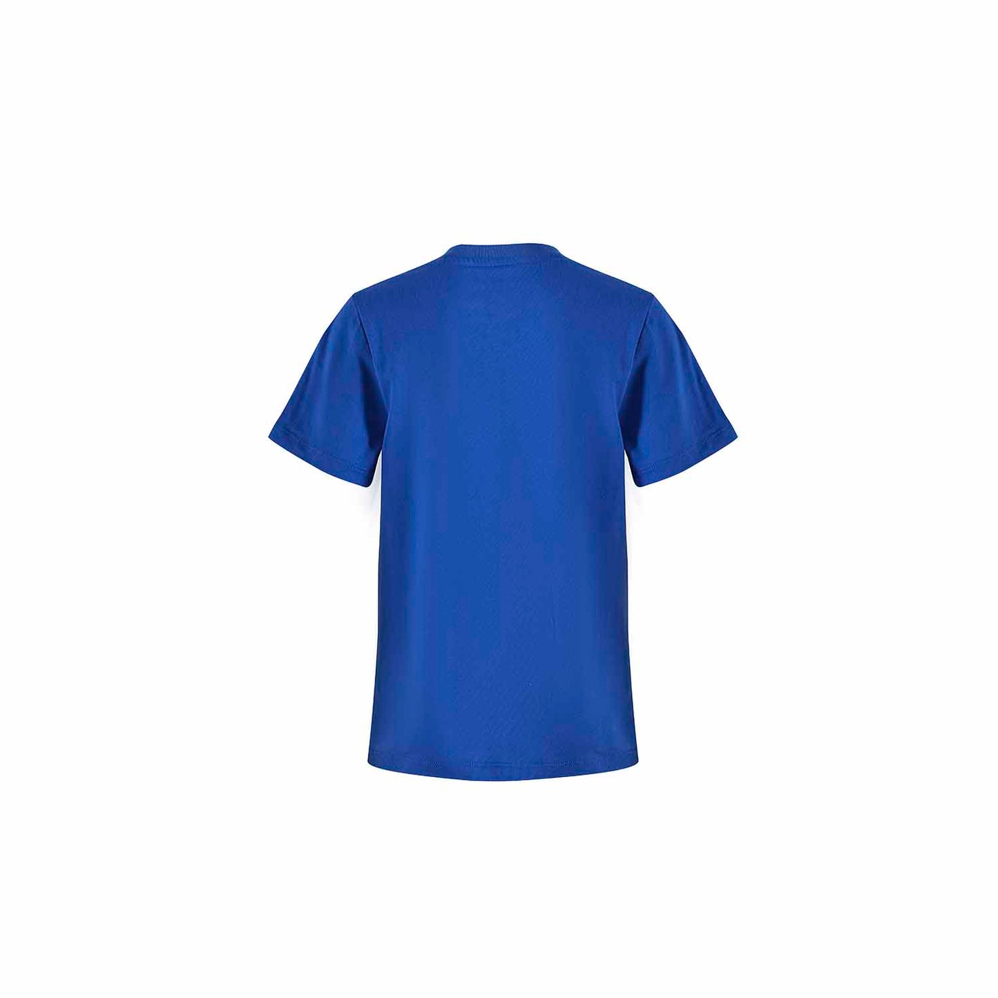 Polera Dragon Ball Goten Azul