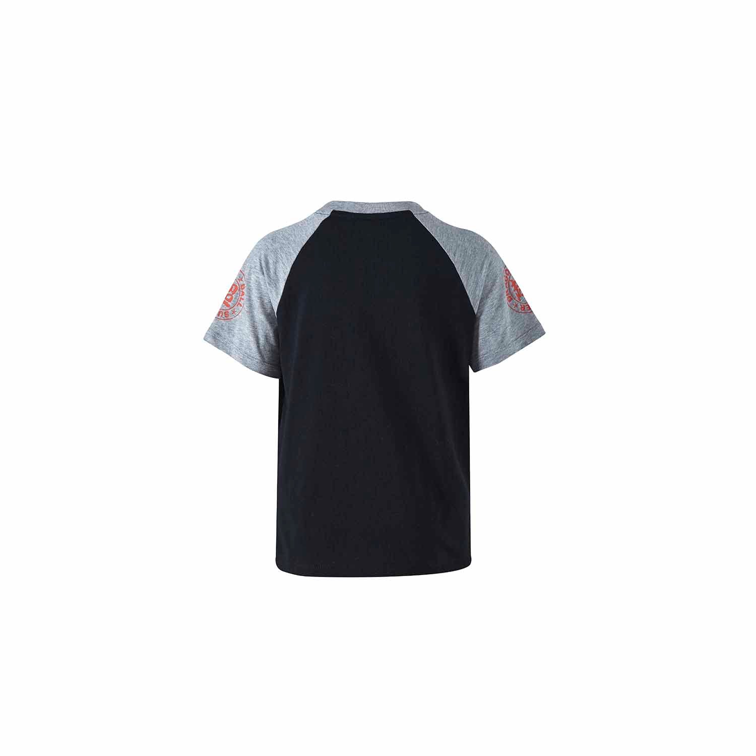 Polera Dragon Ball Goku Negro