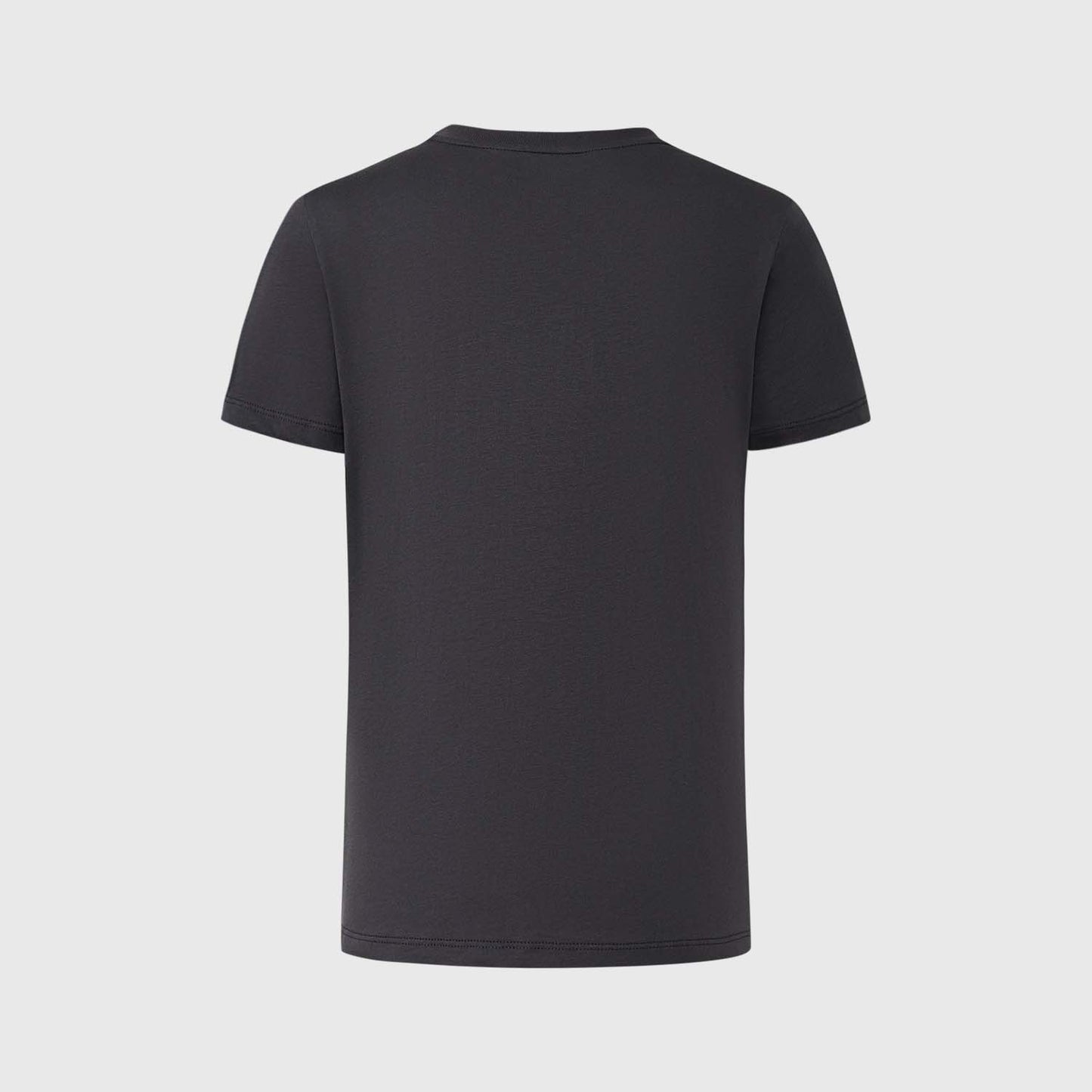 Polera Niño Dragon Ball Gris