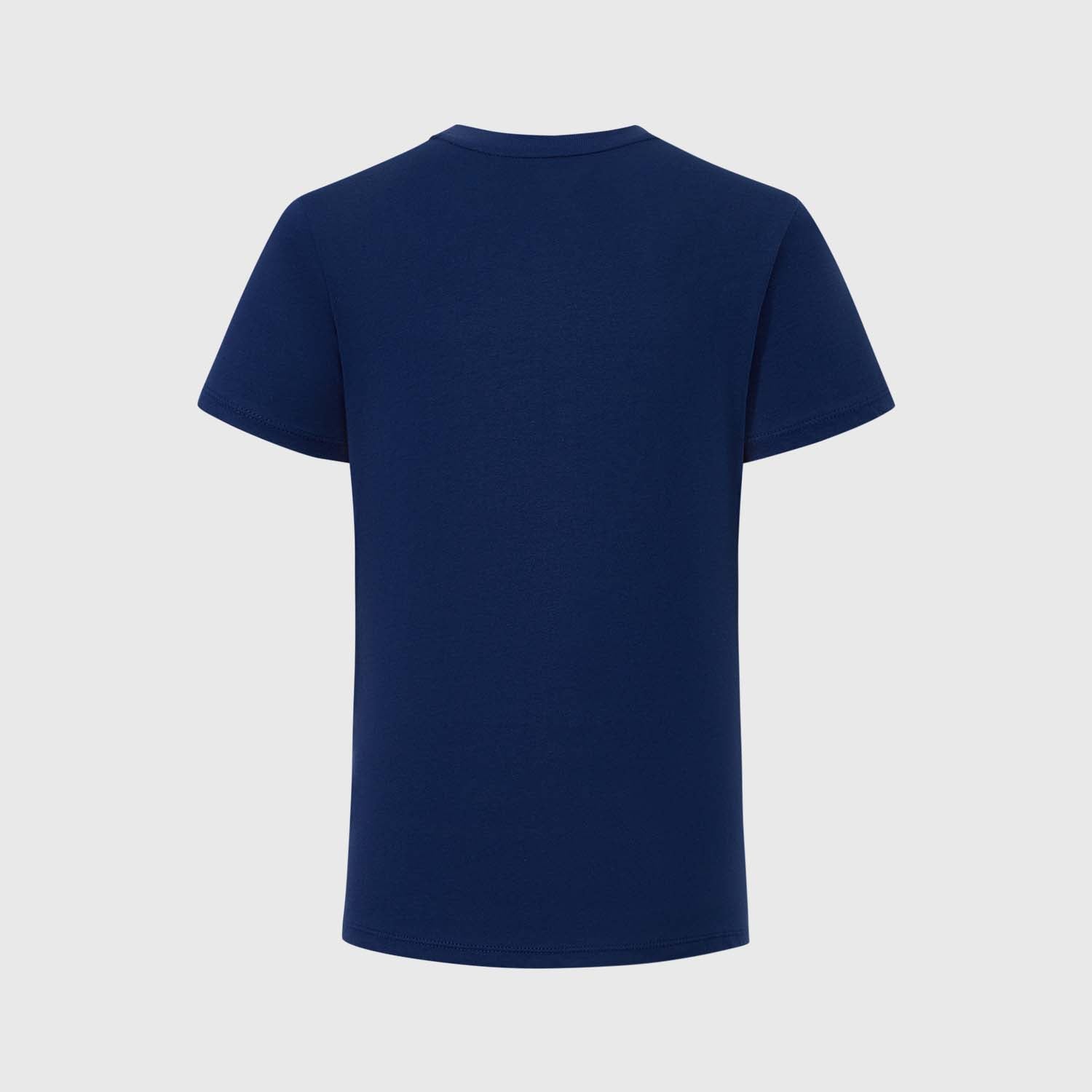 Polera Dragon Ball Azul