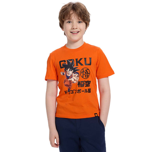 Polera Dragon Ball Goku Naranjo