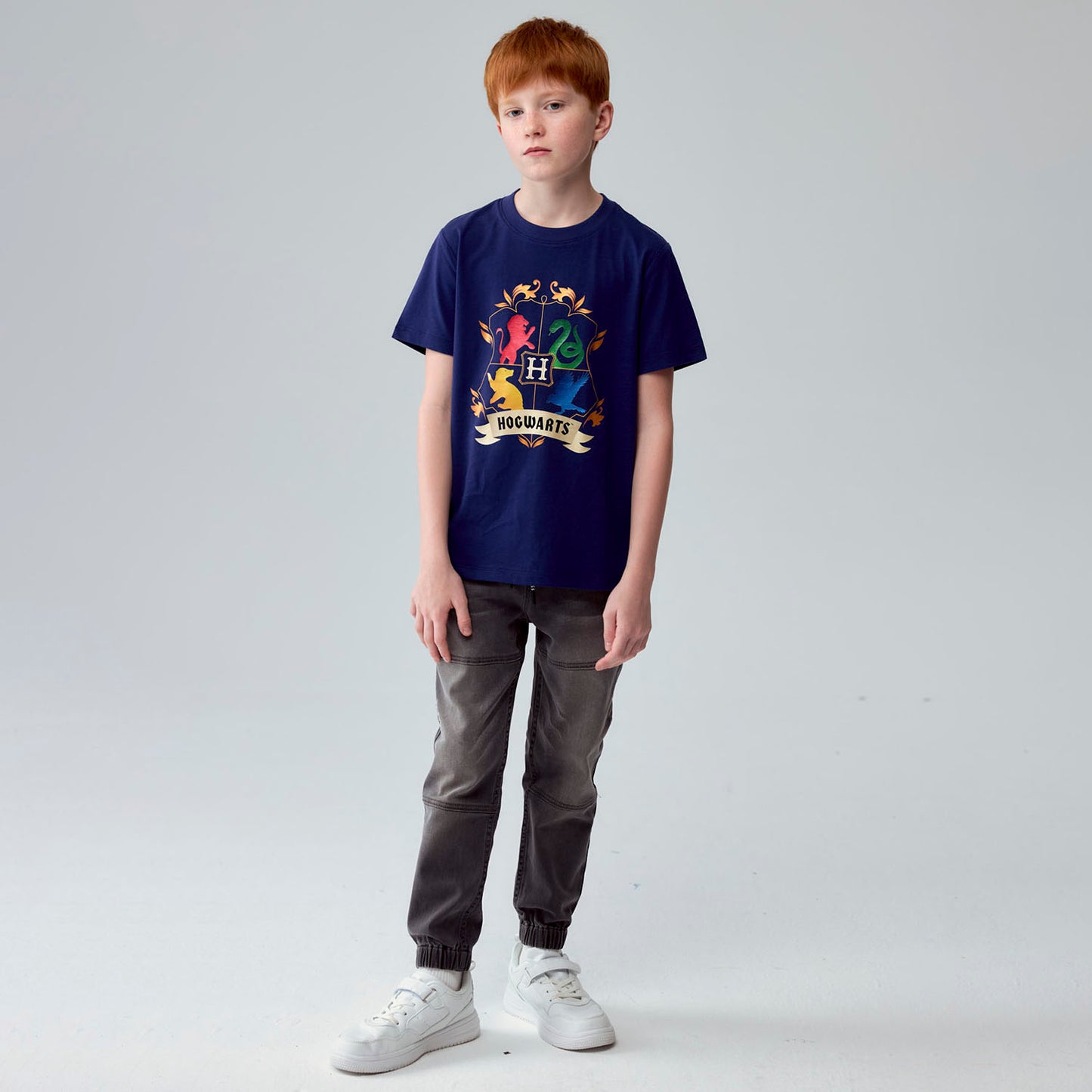 Polera Harry Potter Azul Marino
