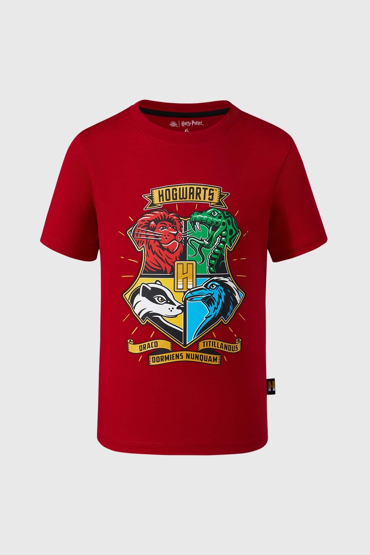 Polera Hogwarts Burdeo
