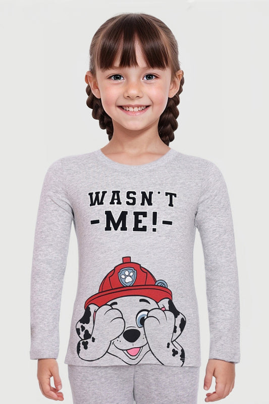 Polera Paw Patrol Marshall Gris