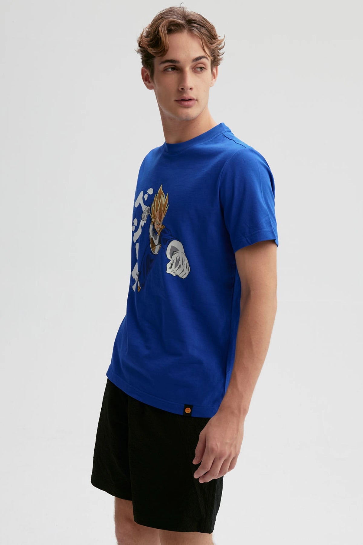 Polera Dragon Ball Vegeta Azul