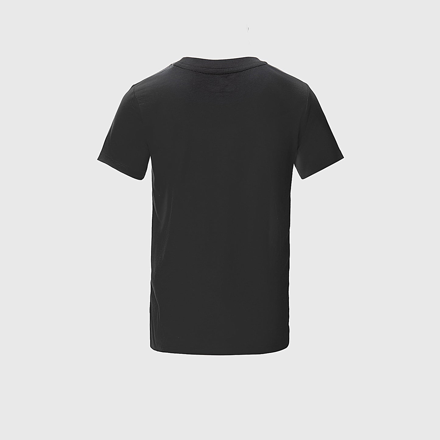 Polera Dragon Ball Vegeta Gris