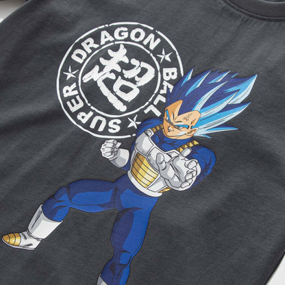 Polera Dragon Ball Vegeta Gris