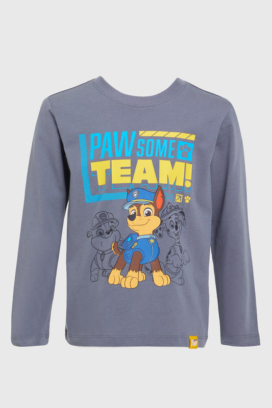 Polera Paw Patrol Manga Larga Gris