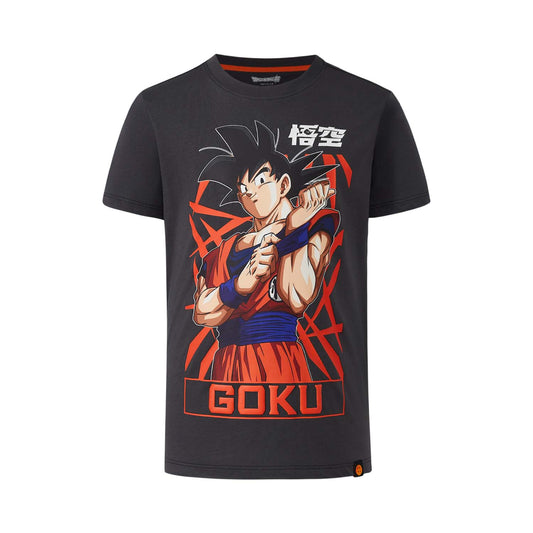 Polera Niño Dragon Ball Gris