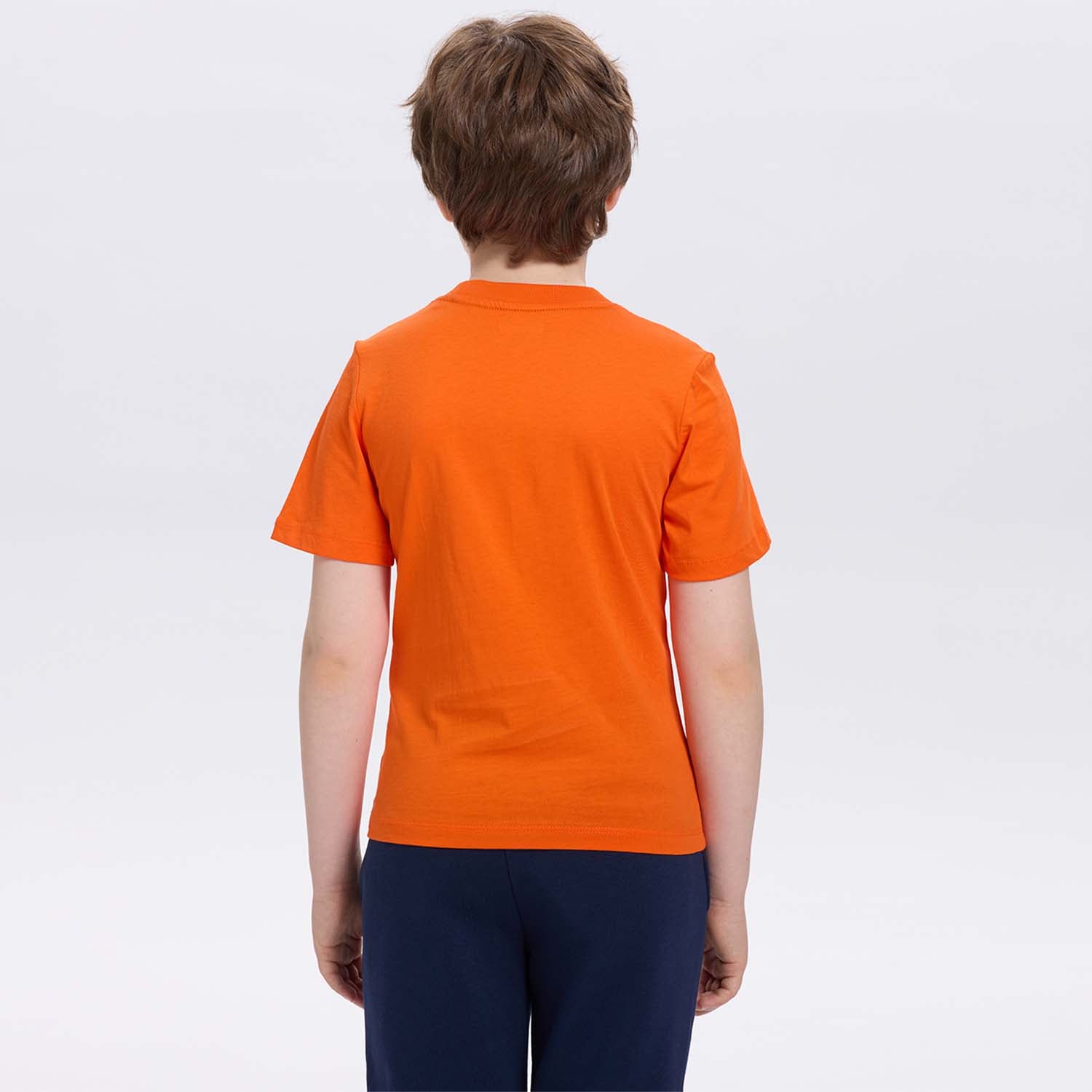 Polera Dragon Ball Goku Naranjo
