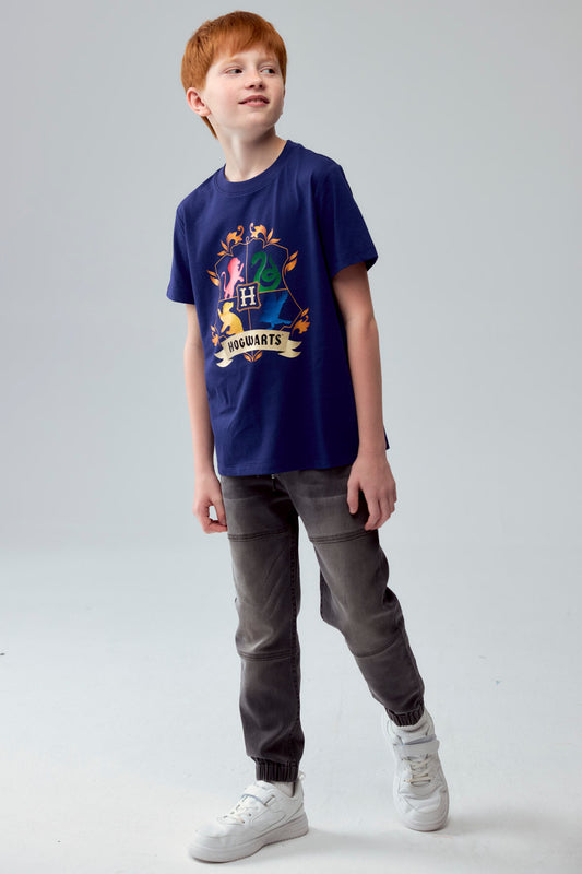 Polera Harry Potter Azul Marino
