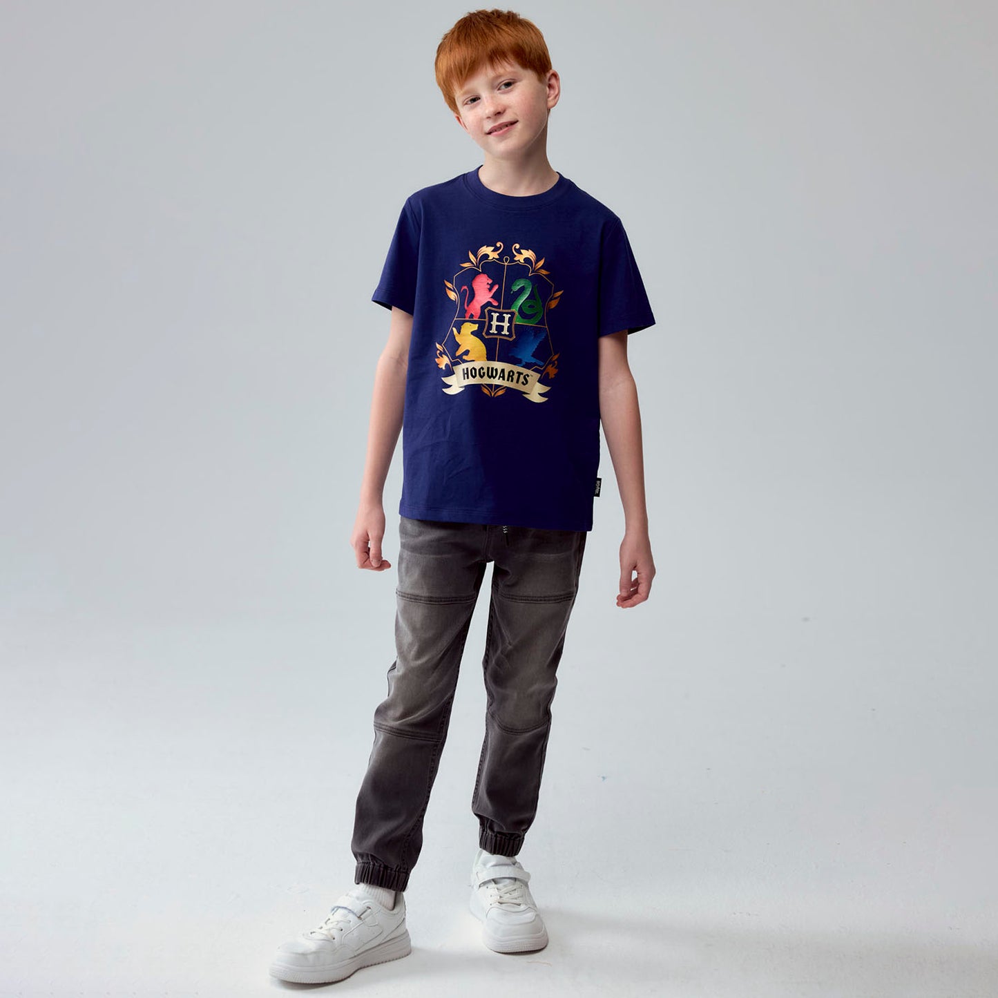 Polera Harry Potter Azul Marino