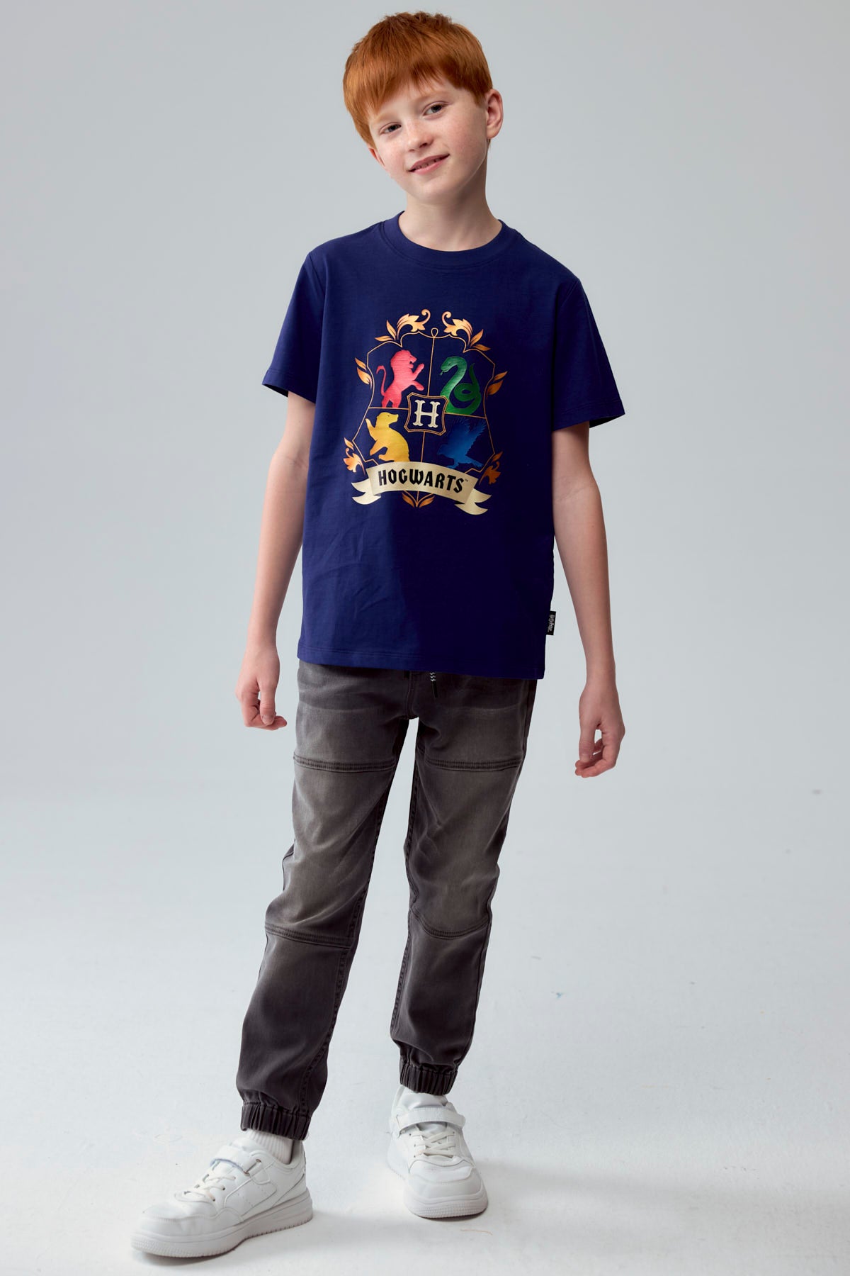 Polera Harry Potter Azul Marino