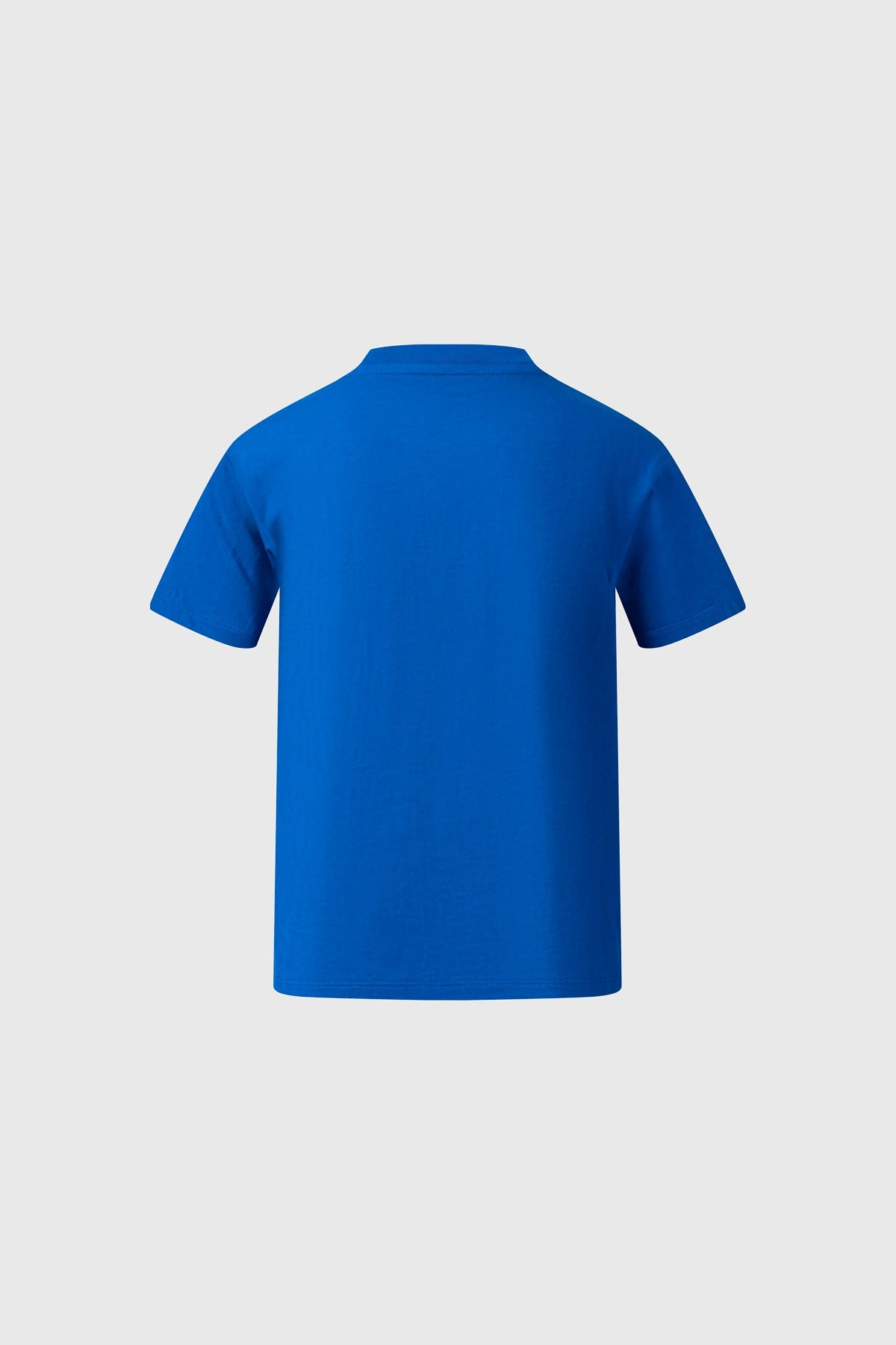 Polera azul de Dragon Ball con un diseño de Vegeta en ilustración lineal y en color, mostrando su pose desafiante, ideal para fans del universo anime.