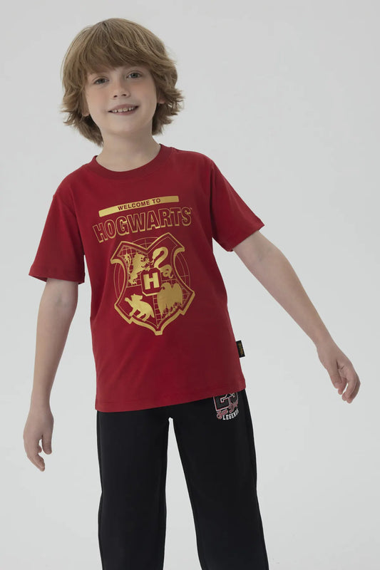 Polera Harry Potter Burdeo