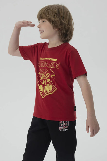 Polera Harry Potter Burdeo