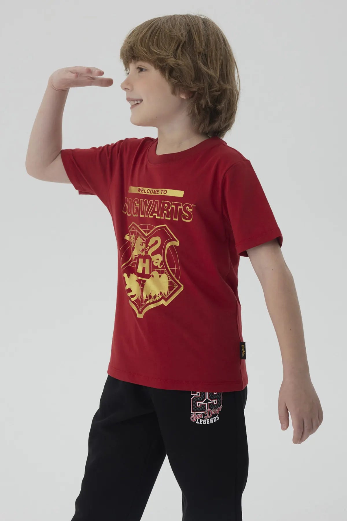 Polera burdeos de algodón con el escudo de Hogwarts en dorado, destacando la frase 'WELCOME TO HOGWARTS', ideal para los pequeños magos fans de Harry Potter.