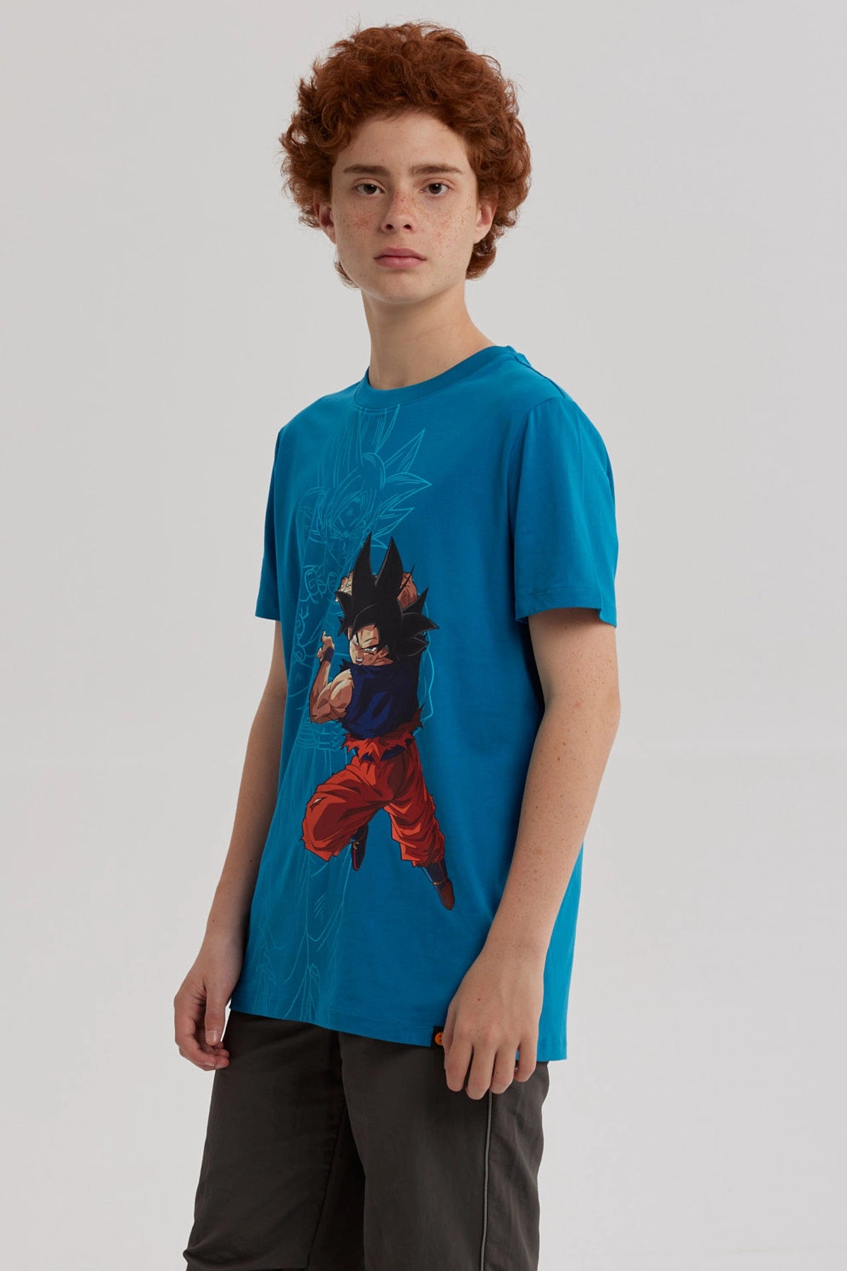 Polera Dragon Ball Goku Calipso