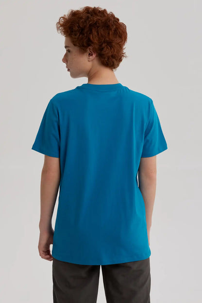 Polera Dragon Ball Goku Calipso