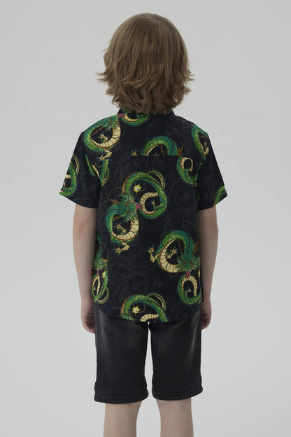 Camisa Dragon Ball Negro