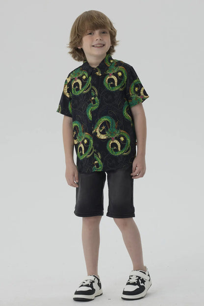 Camisa Dragon Ball Negro