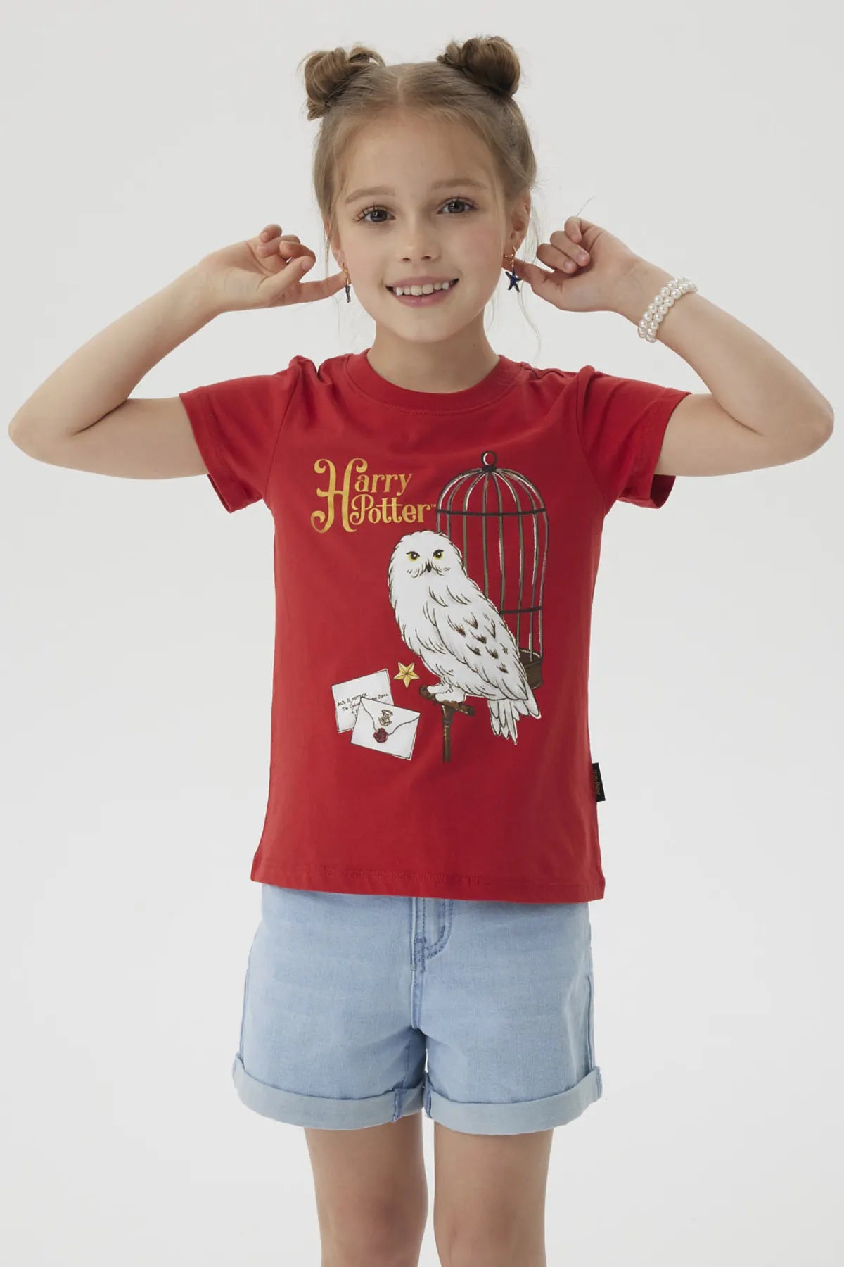 Polera burdeos de Harry Potter con un diseño ilustrativo de Hedwig en una jaula, acompañada de una carta mágica, ideal para fans del universo mágico.