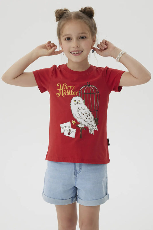 Polera burdeos de Harry Potter con un diseño ilustrativo de Hedwig en una jaula, acompañada de una carta mágica, ideal para fans del universo mágico.