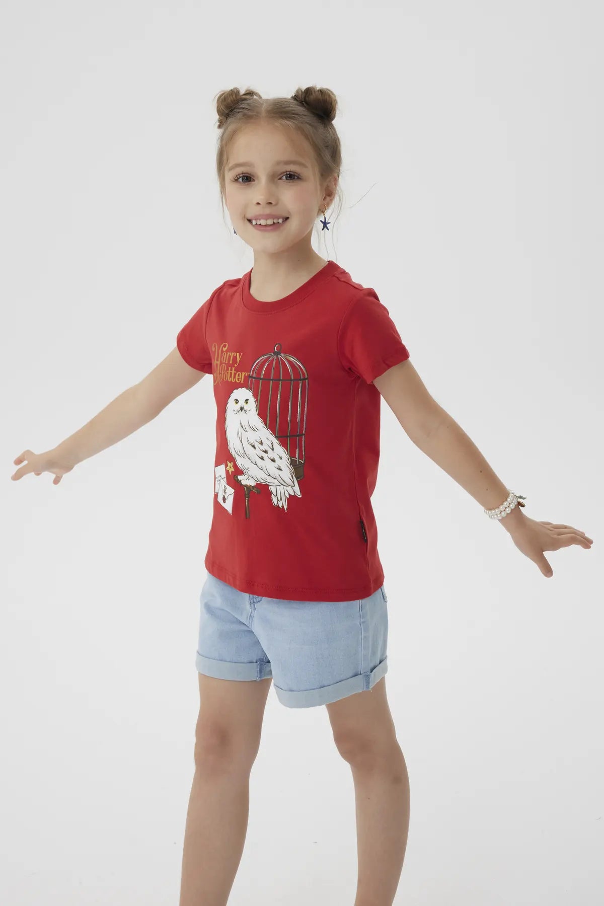 Polera Harry Potter Burdeo