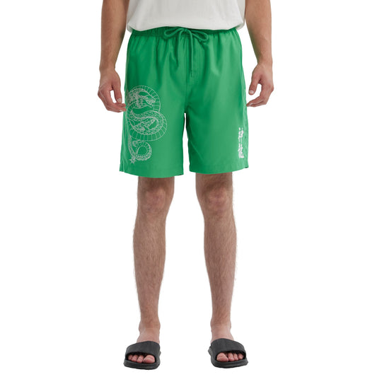 Short de baño verde con estampado del dragón Shenron en blanco, evocando la búsqueda de las Esferas del Dragón de Dragon Ball.
