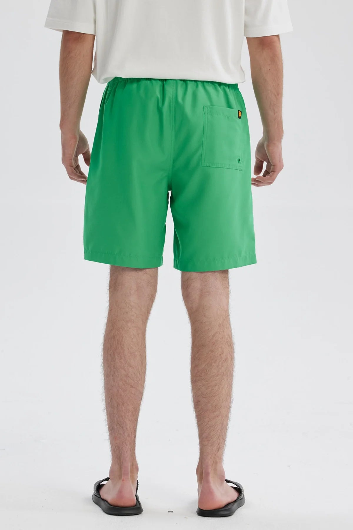 Short De Baño Dragon Ball Verde