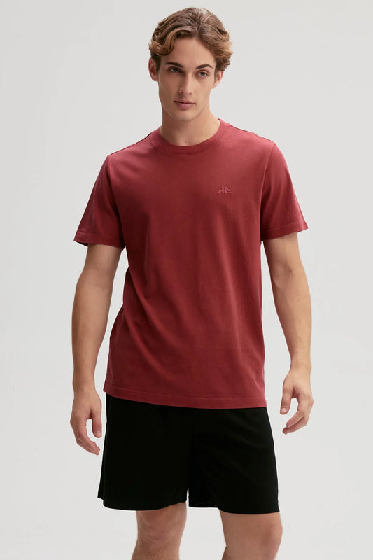 Polera burdeos de algodón con un sutil logo minimalista en el pecho, ideal para los fans de Holly Concept que buscan comodidad y estilo en su vestimenta.