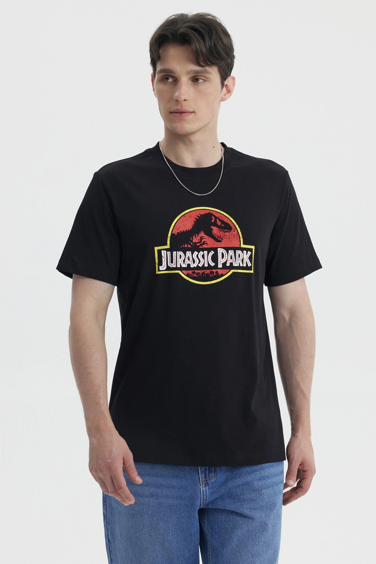 Polera Jurassic Park Negra