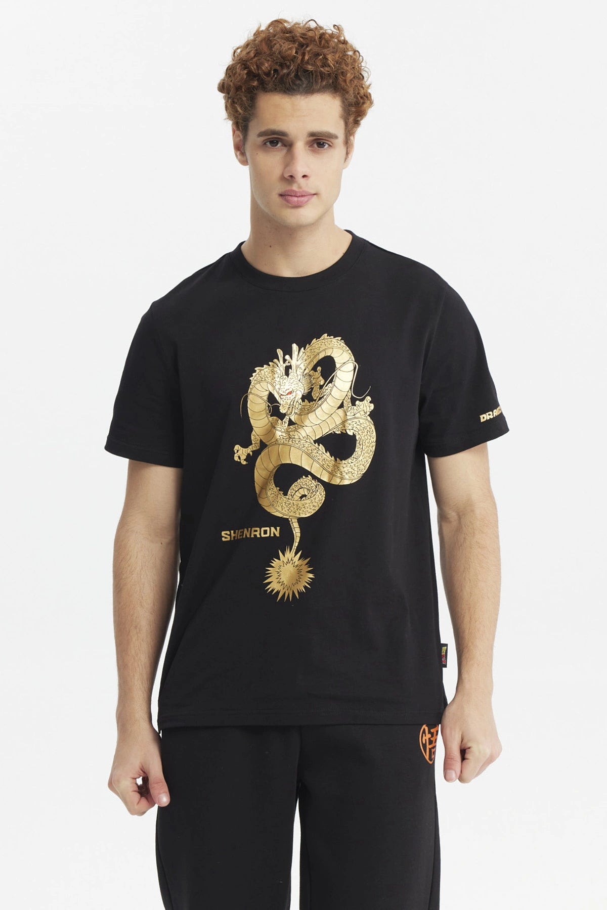 Polera Dragon Ball Z Negra